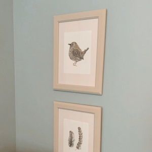 Nature Prints in Chalk Painted Wood Frames